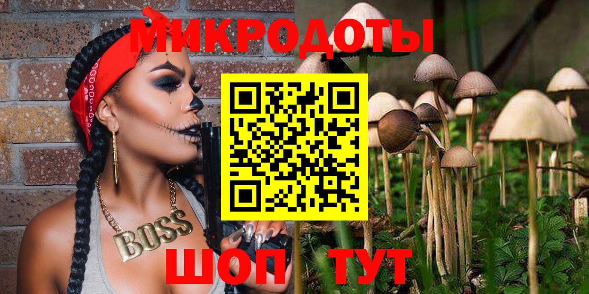 Псилоцибиновые грибы Psilocybe  Галлюциногенные грибы прущие грибы  Вход с VPN  как найти наркотики  Соликамск 